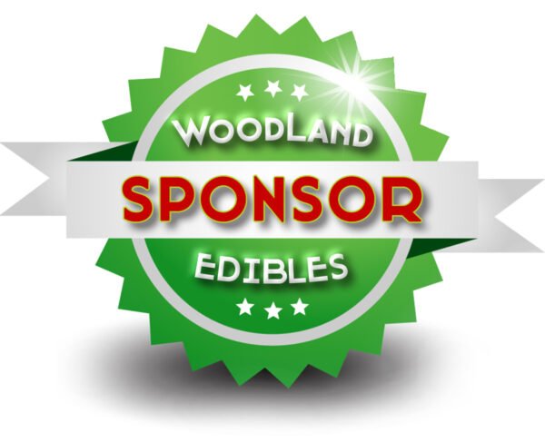 Sponsor (Membership)