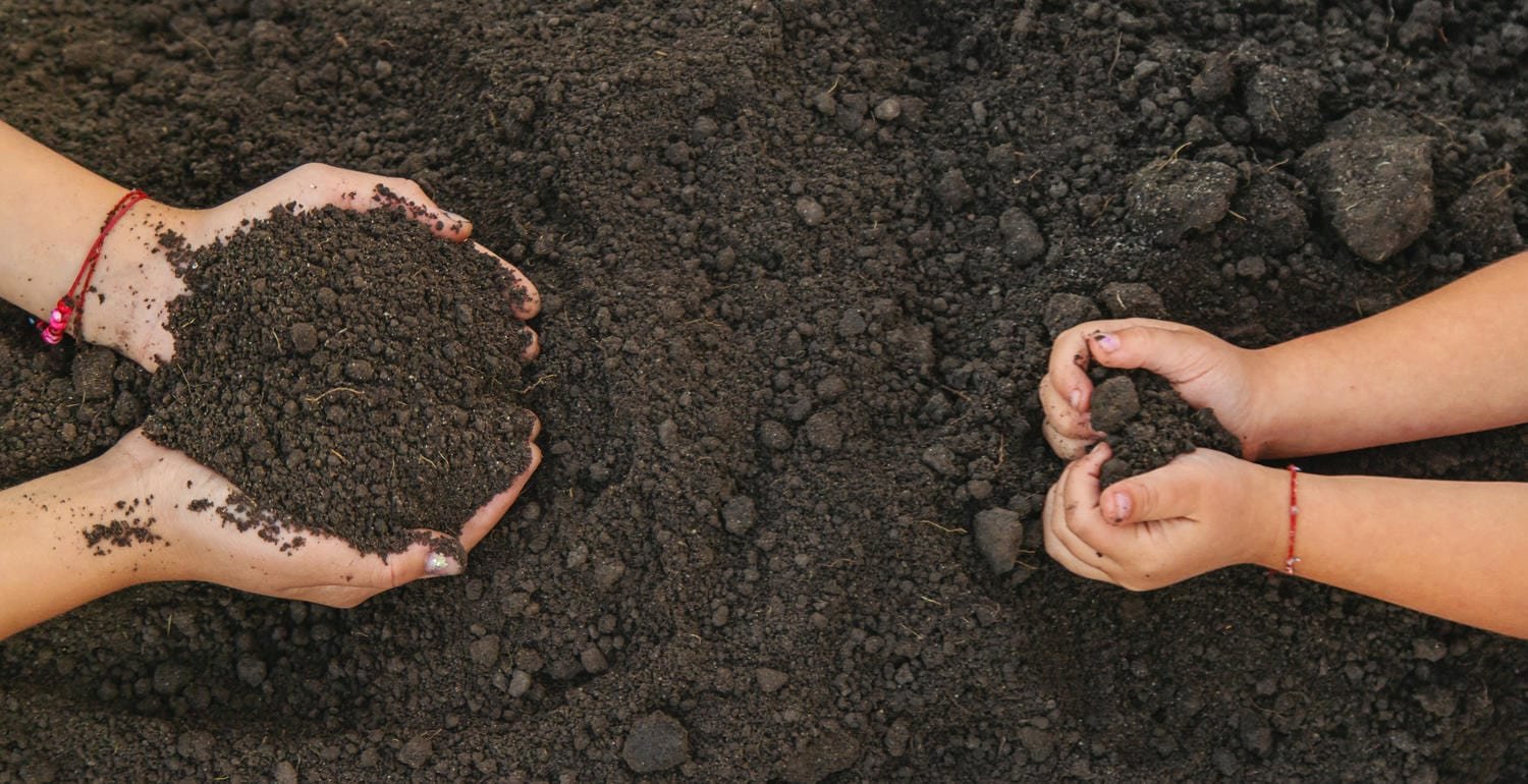 Two pairs of hands holding rich dark soil