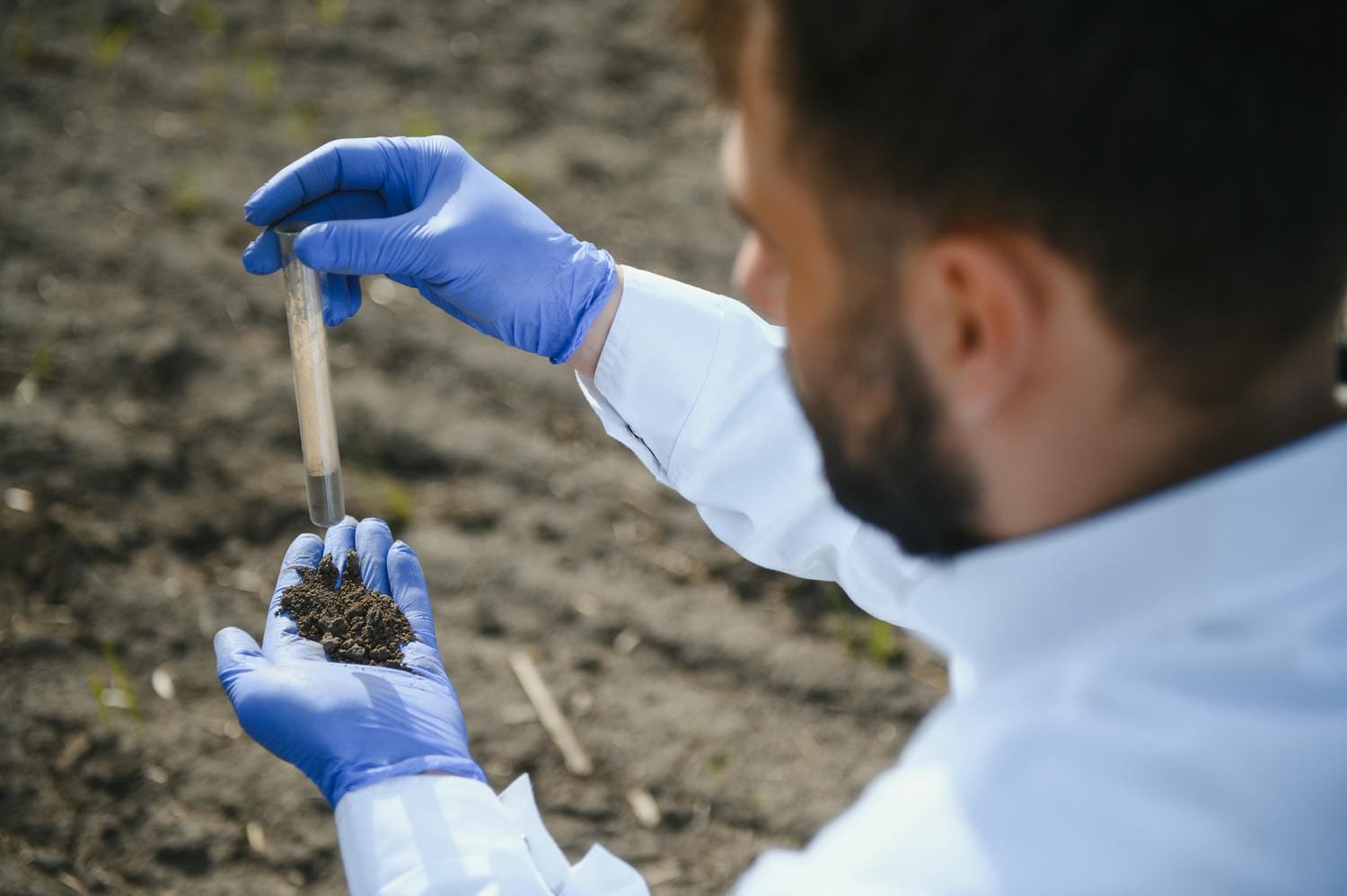 A scientist holding a soil sample tube in a field