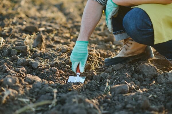 COMPLETE SOIL FOOD WEB ASSESSMENT - Image 3