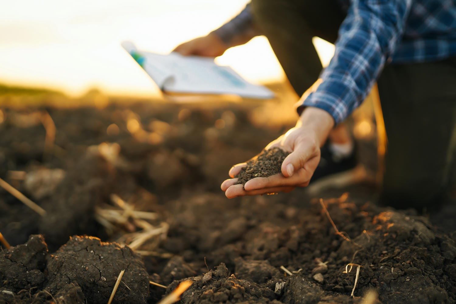 A person holding a handful of soil while taking notes on a clipboard