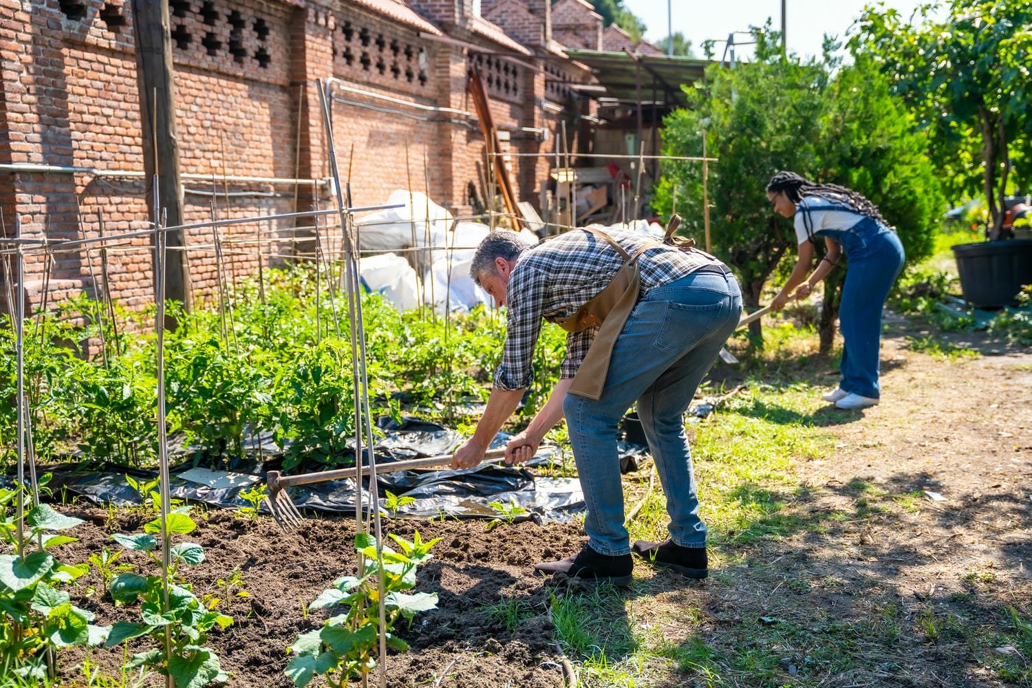 Two gardeners tending beds in a walled garden