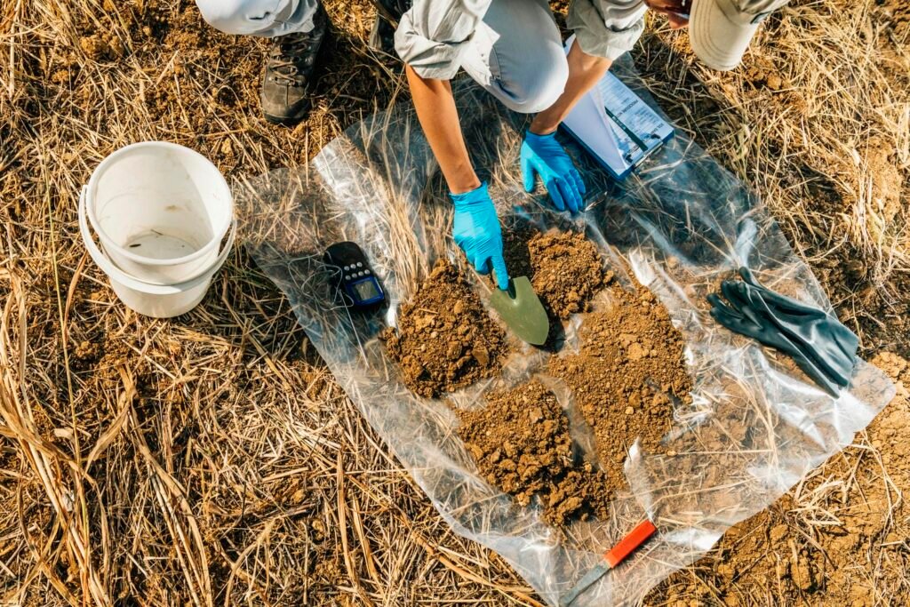Gloved hands taking soil samples with a trowel into a bag and bucket on straw mulch