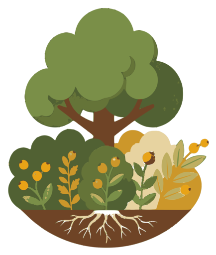Fruit tree over layered garden beds with roots